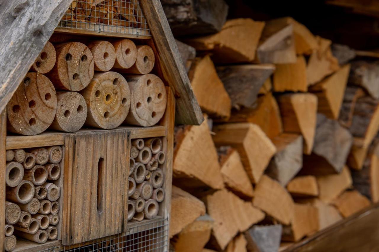 مبيت وإفطار زلتنغن راختخ Moselhaus المظهر الخارجي الصورة